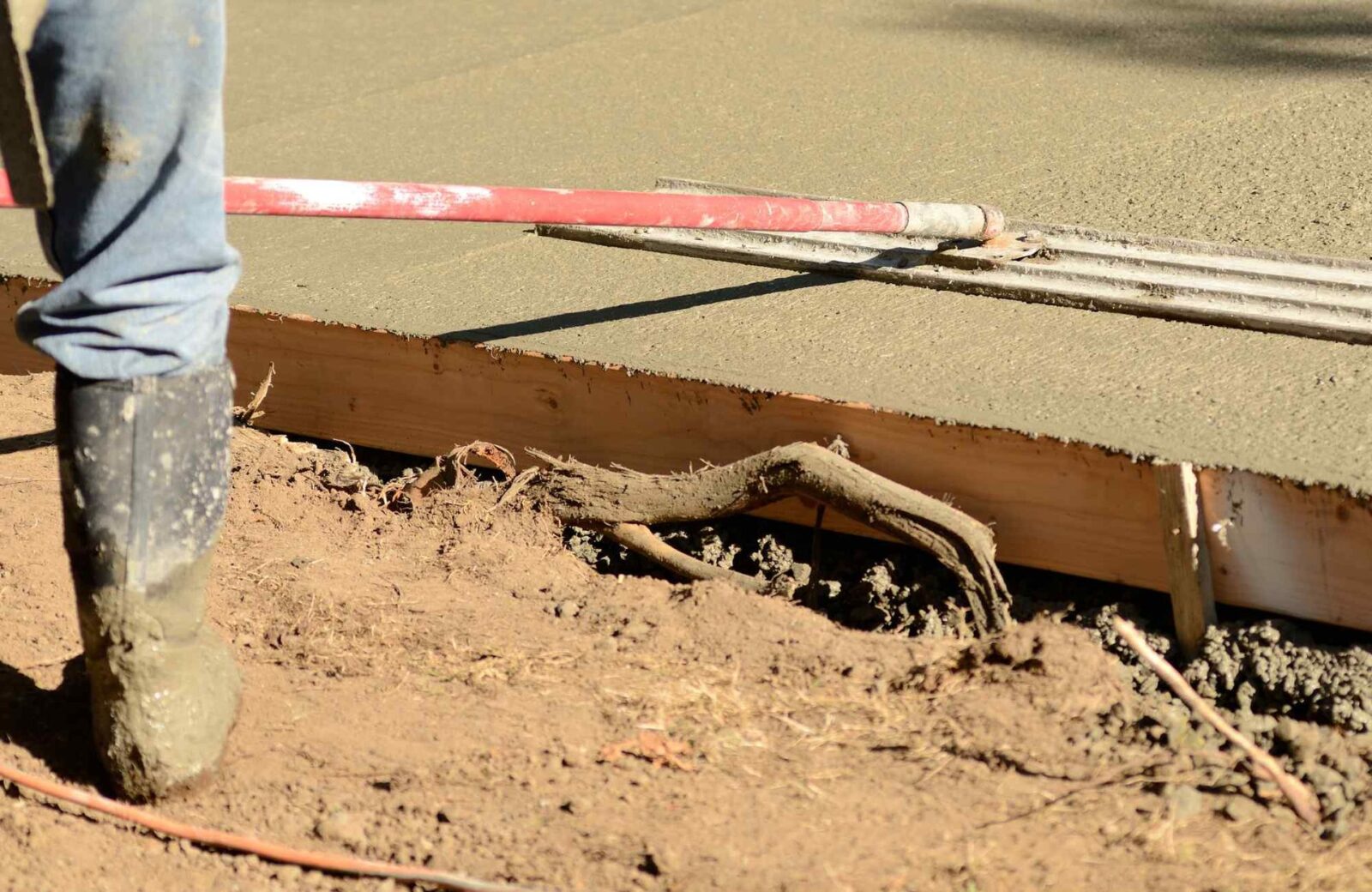 A concrete contractor from East Valley Concrete holds a red handle tool and smooths wet concrete for a foundation in Chandler, AZ. The worker is wearing muddy boots, and a tree root is visible in the soil next to the concrete formwork.