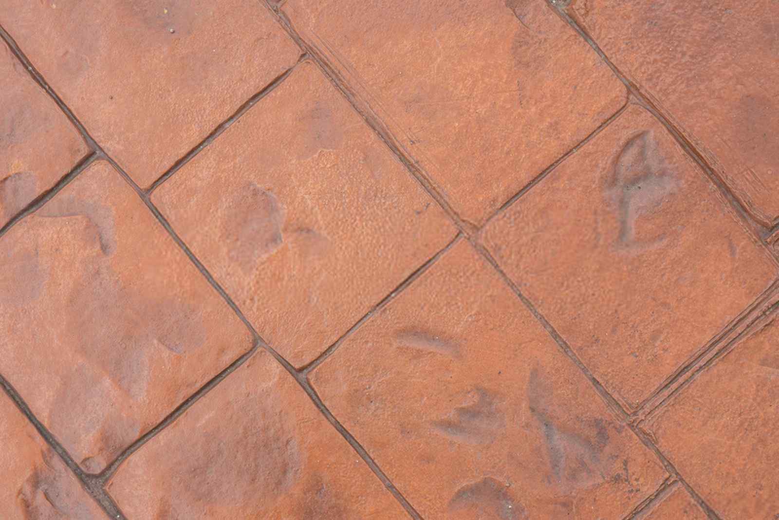 A close-up view of a tiled surface featuring reddish-brown, square tiles arranged diagonally. The tiles have a slightly textured finish and show some wear and irregularities, giving them a rustic appearance reminiscent of classic homes in Mesa AZ.