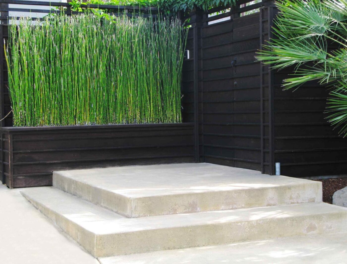 Two sets of concrete steps lead up to a corner of a garden with tall green plants growing in a raised planter box. The garden area, completed with stamped concrete patio by East Valley AZ's top concrete installation services, features dark wooden walls and a partially visible palm tree. The scene is clean and minimalist.
